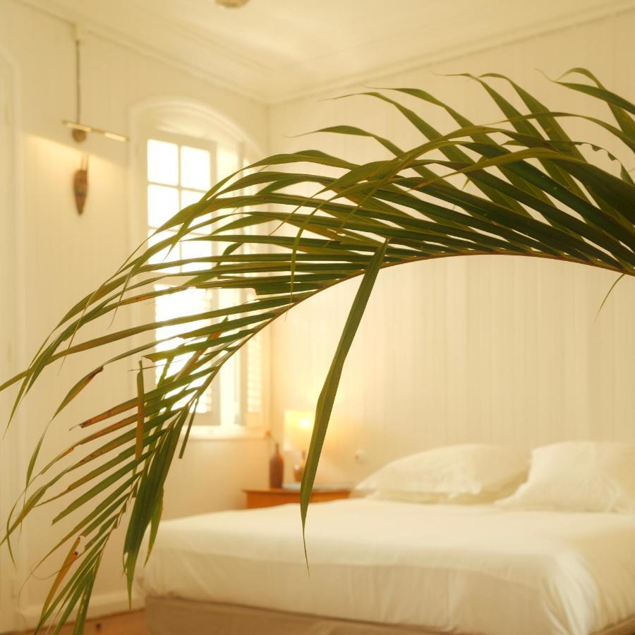Maison Victoire, Pointe-A-Pitre ภายนอก รูปภาพ